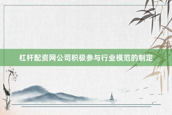 杠杆配资网公司积极参与行业模范的制定