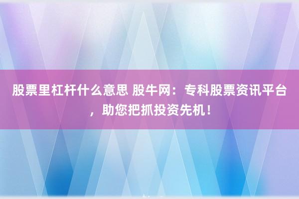 股票里杠杆什么意思 股牛网：专科股票资讯平台，助您把抓投资先机！
