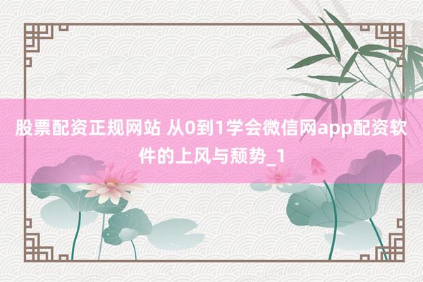 股票配资正规网站 从0到1学会微信网app配资软件的上风与颓势_1