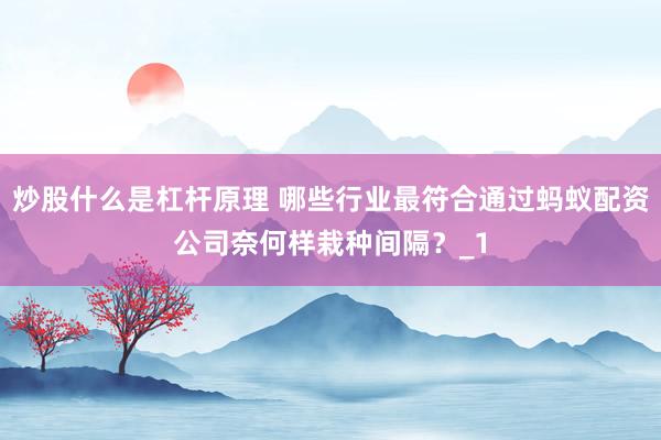 炒股什么是杠杆原理 哪些行业最符合通过蚂蚁配资公司奈何样栽种间隔？_1