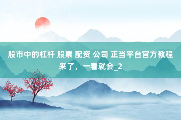 股市中的杠杆 股票 配资 公司 正当平台官方教程来了，一看就会_2